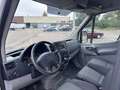 Mercedes-Benz Sprinter 310/311/313/314/316 CDI (906.631/633/635/637) Weiß - thumbnail 14