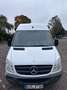 Mercedes-Benz Sprinter 310/311/313/314/316 CDI (906.631/633/635/637) Weiß - thumbnail 1