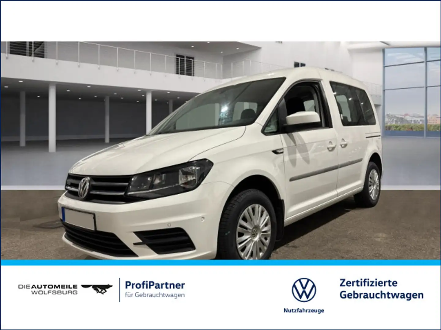Volkswagen Caddy 1.4 TGI Erdgas DSG Trendline AHK/FLÜ Alb - 1