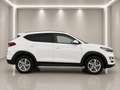 Hyundai TUCSON Tucson 1.6 2WD (EURO 6d-TEMP)(OPF) Run*24 Mon G... Weiß - thumbnail 4