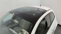 Fiat 500 500 1.2 Lounge 69cv Bianco - thumbnail 7