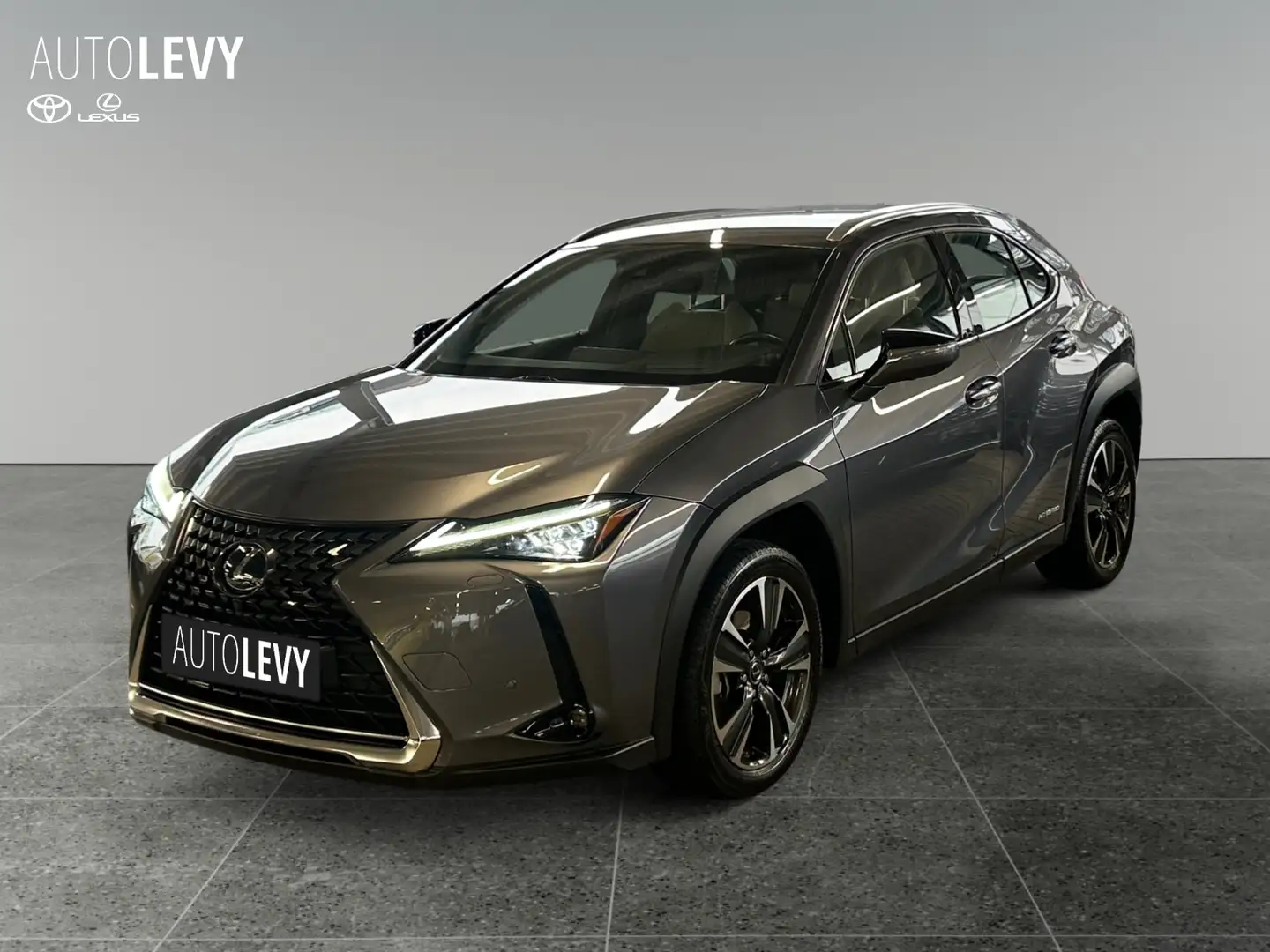 Lexus UX 250h Luxury Line +Kamera+Navi+SHZ+PDC+ Grau - 2