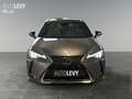 Lexus UX 250h Luxury Line +Kamera+Navi+SHZ+PDC+ Grau - thumbnail 9