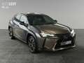 Lexus UX 250h Luxury Line +Kamera+Navi+SHZ+PDC+ Grau - thumbnail 8