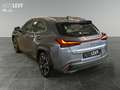 Lexus UX 250h Luxury Line +Kamera+Navi+SHZ+PDC+ Grau - thumbnail 4