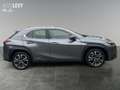 Lexus UX 250h Luxury Line +Kamera+Navi+SHZ+PDC+ Grau - thumbnail 7