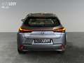 Lexus UX 250h Luxury Line +Kamera+Navi+SHZ+PDC+ Grau - thumbnail 5