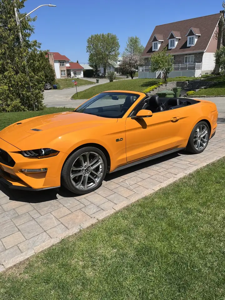 2019 Ford Mustang