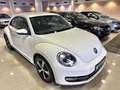 Volkswagen Beetle 1.4 TSI 160cv Design Blanc - thumbnail 12