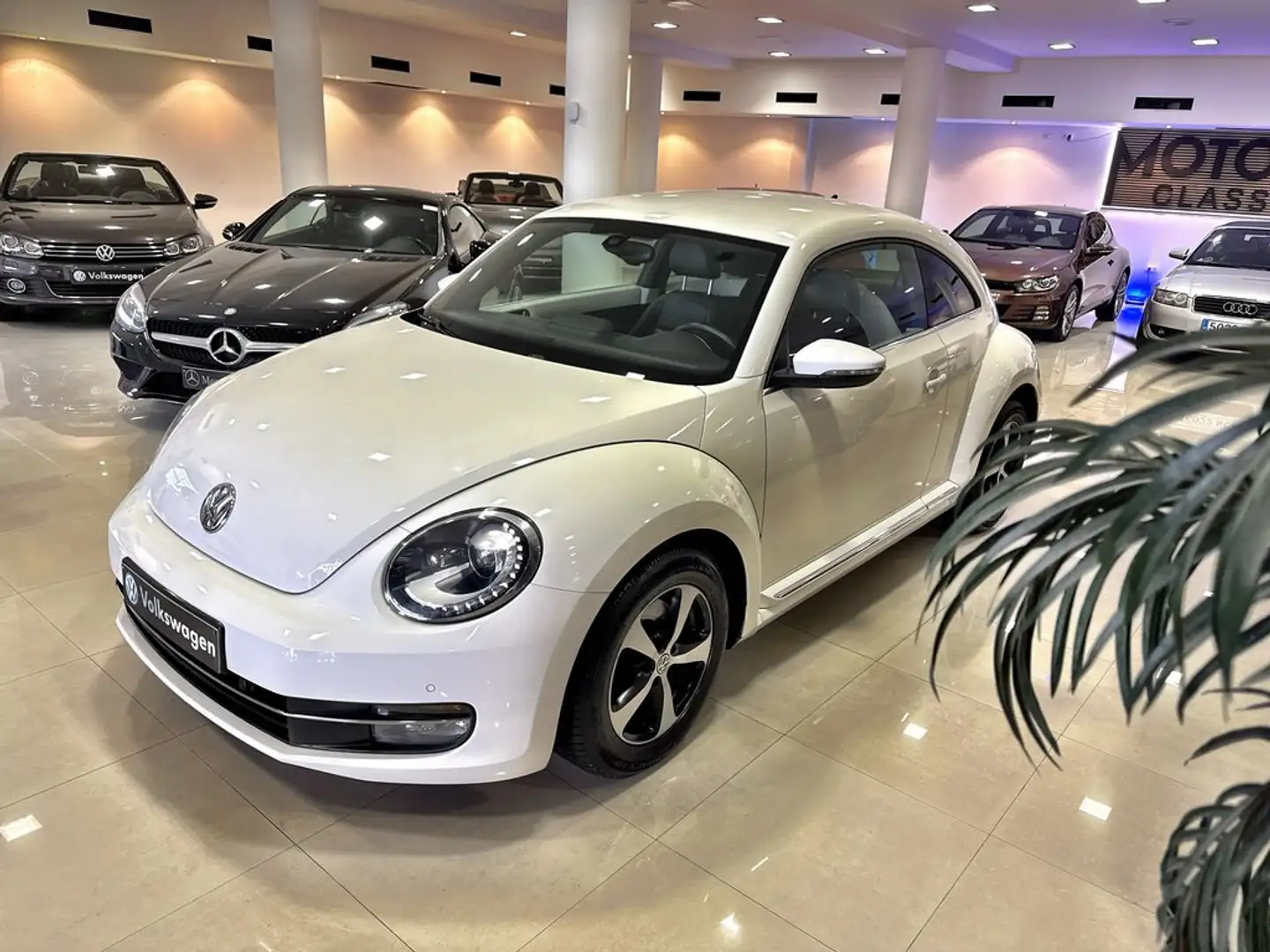 Volkswagen Beetle 1.4 TSI 160cv Design Blanc - 1
