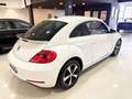 Volkswagen Beetle 1.4 TSI 160cv Design Blanc - thumbnail 17
