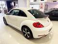 Volkswagen Beetle 1.4 TSI 160cv Design Blanc - thumbnail 13