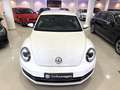 Volkswagen Beetle 1.4 TSI 160cv Design Blanc - thumbnail 7