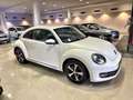 Volkswagen Beetle 1.4 TSI 160cv Design Blanc - thumbnail 11