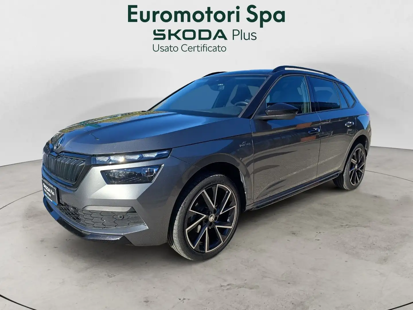 Skoda Kamiq Kamiq 1.0 tsi Monte Carlo 110cv Gris - 1