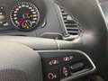 SEAT Alhambra 20th Anniversary 4Drive/Vollausst. Wit - thumbnail 24