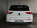 Volkswagen Golf Life TDI Weiß - thumbnail 4