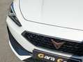 CUPRA Leon 1.5 ETSI DSG 110Kw Blanco - thumbnail 29