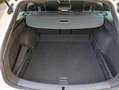 CUPRA Leon 1.5 ETSI DSG 110Kw Blanco - thumbnail 14