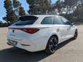 CUPRA Leon 1.5 ETSI DSG 110Kw Blanco - thumbnail 4