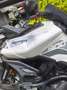 Triumph Tiger 900 Gt pro Blanco - thumbnail 9