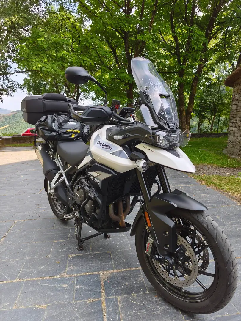 Triumph Tiger 900 Gt pro Blanco - 2