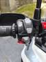Triumph Tiger 900 Gt pro Blanco - thumbnail 5