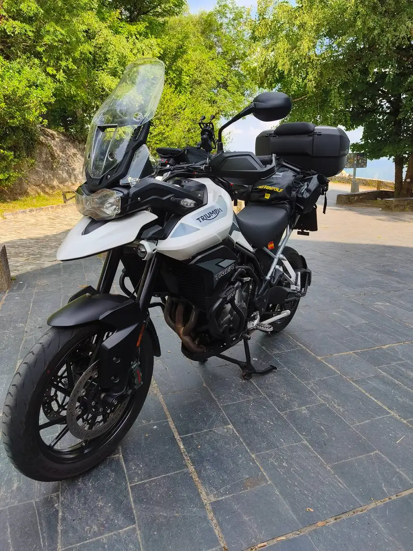 Triumph Tiger 900 Gt pro Blanco - 1