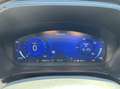 Ford Kuga 2.5 PHEV ST-Line X 225PK Panodak Winterpack Cruise Zwart - thumbnail 15