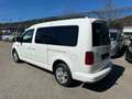Volkswagen Caddy Kombi Maxi Comfortline 2,0 TDI 4MOTION ACC-AHK Weiß - thumbnail 6