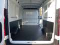 Maxus Deliver 9 Deliver 9 VAN 2.0 CRDI L3H2 150cv fwd Biały - thumbnail 15
