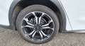 Ford Focus Focus Traveller 1,5 EcoBlue Active X Aut. Active X Weiß - thumbnail 9