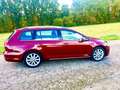 Volkswagen Golf Variant Highline 1.5 TSI*LED-Scheinw.*DigitalCockpit*NAVI* Rot - thumbnail 4