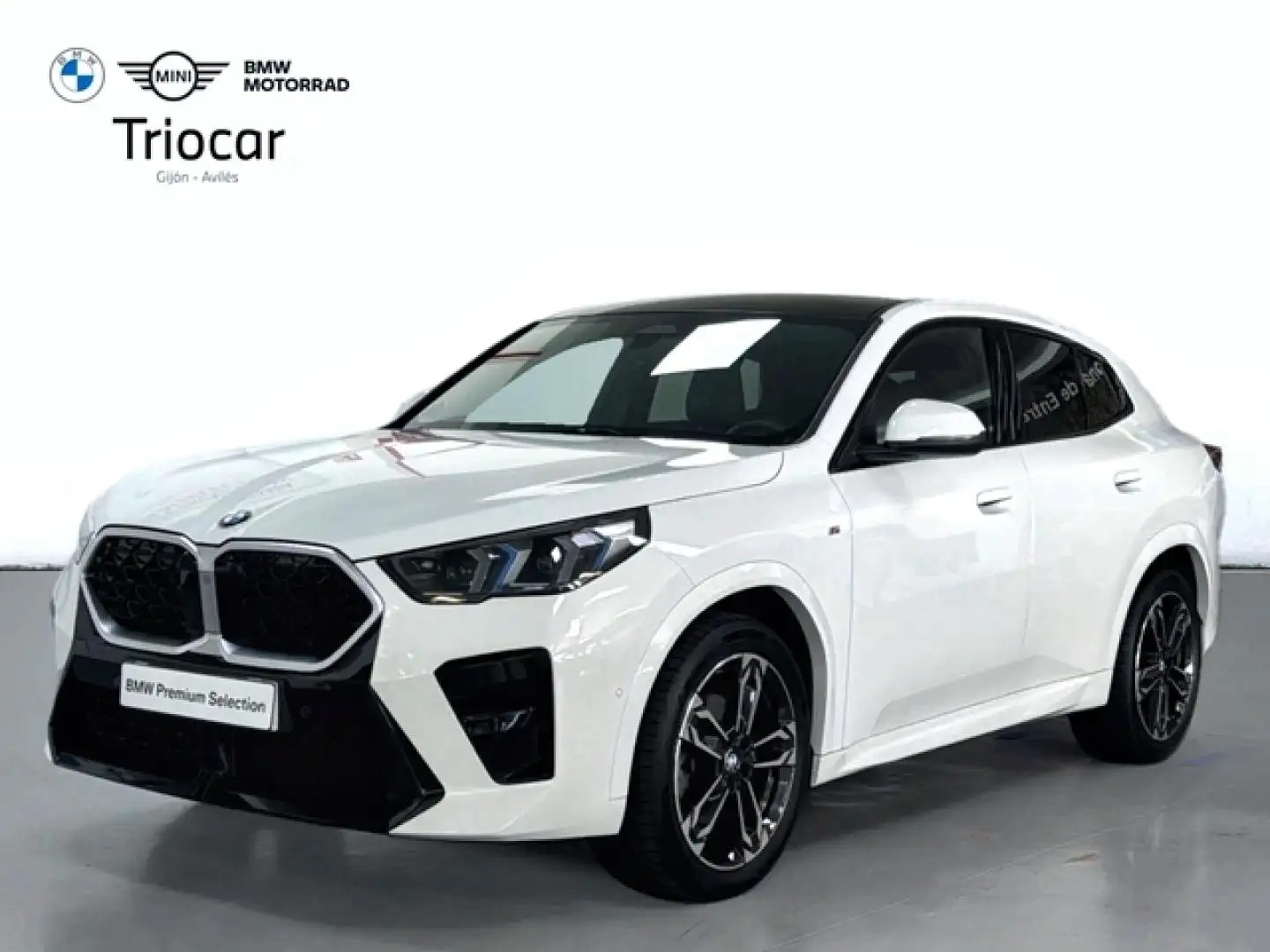 BMW X2 sDrive 18dA Wit - 1