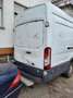 Ford Transit 350 L4 Trend Alb - thumbnail 3