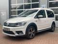 Volkswagen Caddy PKW Alltrack 1.Hand Navi HU/AU Service neu Blanc - thumbnail 17