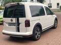 Volkswagen Caddy PKW Alltrack 1.Hand Navi HU/AU Service neu Blanc - thumbnail 4