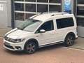 Volkswagen Caddy PKW Alltrack 1.Hand Navi HU/AU Service neu Blanc - thumbnail 19