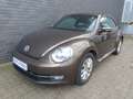Volkswagen Beetle 1,6 Design Klimaautom/Navi/PDC/Sitzheizung Brun - thumbnail 2