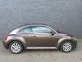 Volkswagen Beetle 1,6 Design Klimaautom/Navi/PDC/Sitzheizung Brun - thumbnail 6