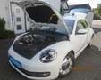 Volkswagen Beetle The Beetle 1.2 TSI CUP Weiß - thumbnail 3