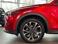 Mazda CX-5 Ad'vantage 2WD AUTOMATIK Rot - thumbnail 9