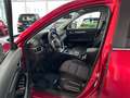 Mazda CX-5 Ad'vantage 2WD AUTOMATIK Rot - thumbnail 10