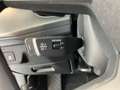 Audi Q3 TDI 110 kW  intense Grau - thumbnail 13