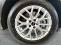 Audi Q3 TDI 110 kW  intense Grau - thumbnail 6