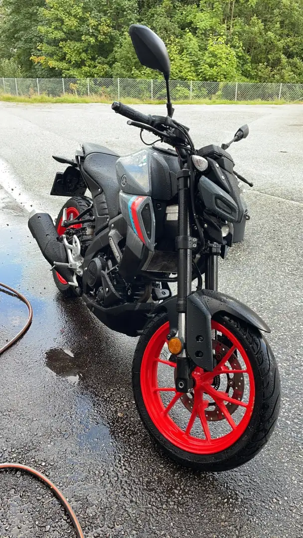 Yamaha MT-125 Gri - 2