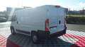 Fiat Ducato TOLE 3.0 C H1 2.0 MJT 115 EURO 6 PACK PRO NAV Blanc - thumbnail 4