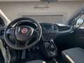 Fiat Doblo - Doblò 1.3 MJT PL-TN Cargo Maxi Lamierato SX Weiß - thumbnail 8