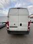 Fiat Ducato L4H3 - thumbnail 4