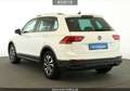 Volkswagen Tiguan Tiguan 2.0 TDI Active #Matrix-LED#STHZ#ACC#DSG# Weiß - thumbnail 3